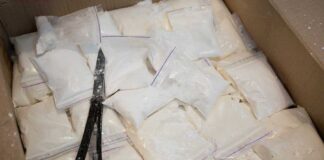 Bags of white powder with scissors in cardboard box