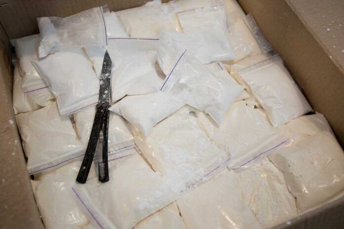 1530825116 featured image Bags of white powder with scissors in cardboard box