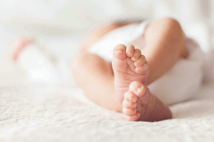 1111986902 Close-up of baby feet lying on blanket