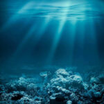 Sunlight beams illuminating ocean coral reef underwater scene