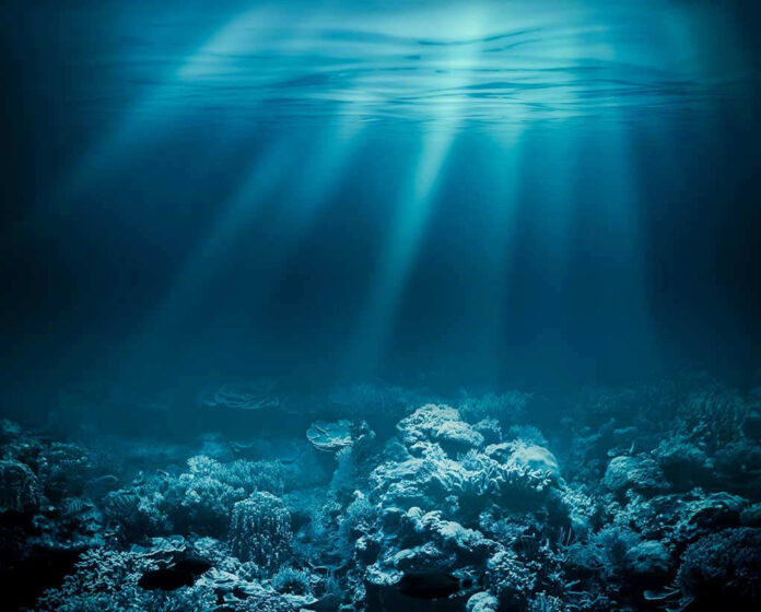 226506523 Sunlight beams illuminating ocean coral reef underwater scene