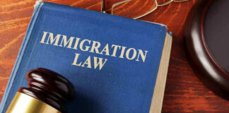 Blue immigration law book with wooden gavel.
