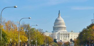 View of the Capitol building in Washington with autumn trees lining the street