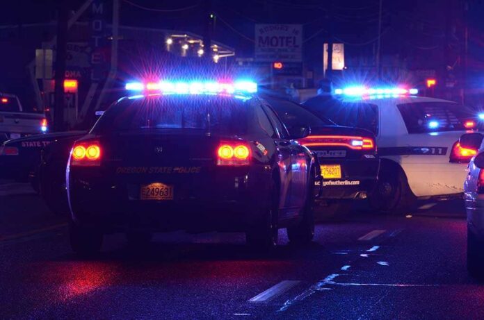 Police cars with flashing lights at a nighttime scene near a motel
