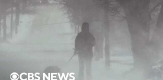 Power Grid FAILURE Threatens Millions in FREEZE