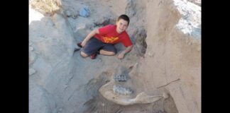 Kid DISCOVERS 48-Million-Year-Old Fossil