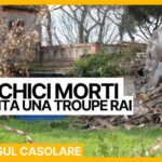 Terrorists Blow Themselves Up Building Bomb