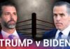 Hunter Biden DEMANDS Cage Fight With Trump Sons