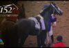 Panicked Horse CRUSHES Derby Jockey