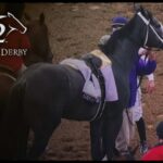 Panicked Horse CRUSHES Derby Jockey