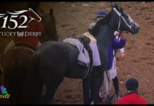 Panicked Horse CRUSHES Derby Jockey