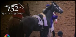 Panicked Horse CRUSHES Derby Jockey
