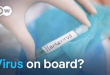 Virus KILLS 3 - TRAPS 150 on Stranded Cruise Ship