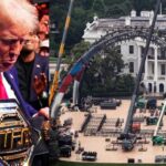 Pentagon CHOOSING Who Attends UFC Events White House UFC Event: Who’s Really Going—After Adam Sandler And Mario Lopez Decline