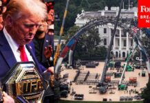 Pentagon CHOOSING Who Attends UFC Events White House UFC Event: Who’s Really Going—After Adam Sandler And Mario Lopez Decline