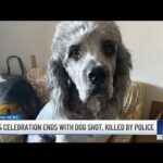 Routine Welfare Check Turns BLOODY – Police Blunder! Man whose family dog was shot by LAPD shares his grief