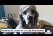 Routine Welfare Check Turns BLOODY – Police Blunder! Man whose family dog was shot by LAPD shares his grief