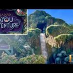 13-year-old boy falls down waterfall of Tiana’s Bayou Adventure at Disneyland
