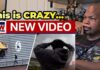 Released 911 Call Captures MANIC Karmelo Anthony After Killing! Karmelo Anthony / Austin Metcalf - Full Video Footage Released - Reaction.. Thoughts