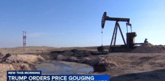 Trump orders price gouging investigation for gas companies