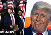 ‘Conflict of interest regime’: Fmr. State Dept. official on mining deal that enriches Trump’s sons