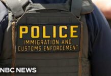 ICE Chase Ends – Illegal MAULED By Semi! Man killed while fleeing ICE officers in Florida