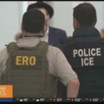 Airport Sting Nabs Flight Attendant Southwest flight attendant in ICE custody for allegedly overstaying his visa
