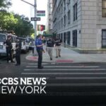 Suspect identified in Upper West Side double stabbing