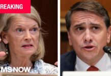 RINO Senator Upends Crucial Confirmation Hearing BREAKING: Murkowski to vote no on Todd Blanche nomination