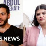 Who will Michigan's Democrats pick: Abdul El-Sayed or Haley Stevens?