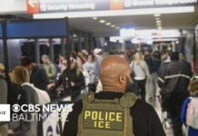 ICE Agents ARREST Professor While Boarding Flight Johns Hopkins researcher's arrest one of at least a dozen by ICE at area airports