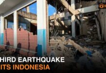 Monster Quake Kills Hundreds, Displaces Thousands! Third earthquake hits Indonesia & more news | DD India News Hour