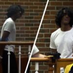 Teen Allegedly Slaughtered Mom, Brother After Asking AI To Create ‘Fantasies’ About Murdering Family