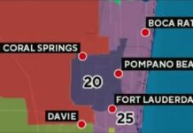 Florida Congressional Race Takes RACIST Turn District 20 officials furious over Rep. Wasserman-Schultz's announcement to run