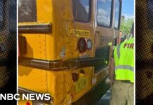 Fleeing Driver SMASHES Into School Bus — Then Bolts Video shows moments train clips school bus full of kids