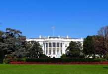 The White House facade with flag and gardens