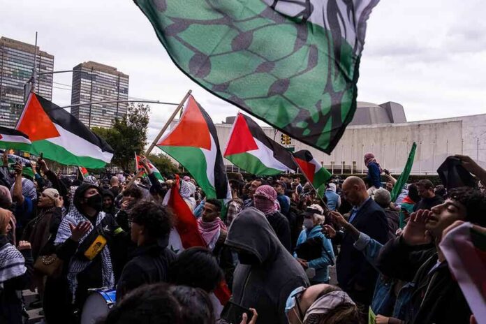 Dontrelle Inman and Christian Jones at a pro-Palestinian protest with flags waving