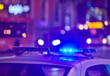 Jammed Rifle Halts Chilling Temple Plot police car roof with flashing blue lights at night